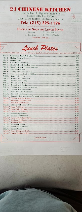 Menu 21 Chinese Kitchen - 2