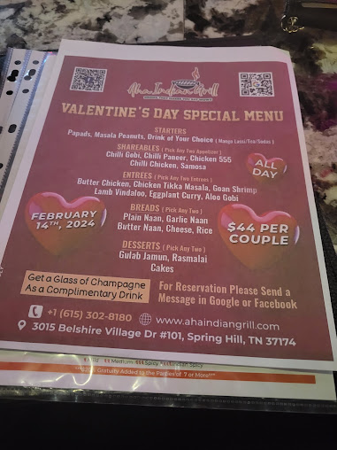 Photo Aha Indian Grill Spring Hill - 1