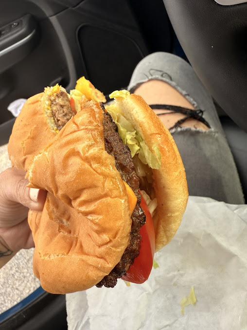 Photo Airways Hamburger - 20