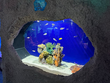 Menu Aquarium Restaurant - 6