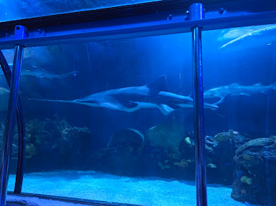 Menu Aquarium Restaurant - 7
