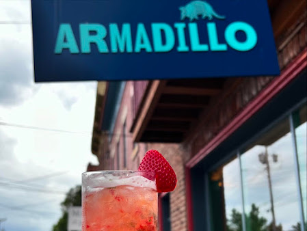 Photo Armadillo - 19
