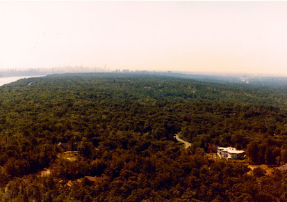 Photo Armstrongs - 6
