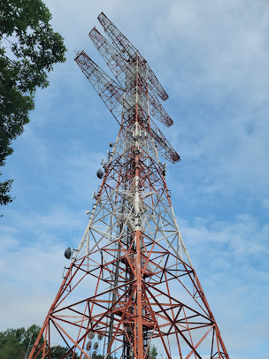 Photo Armstrongs - 8