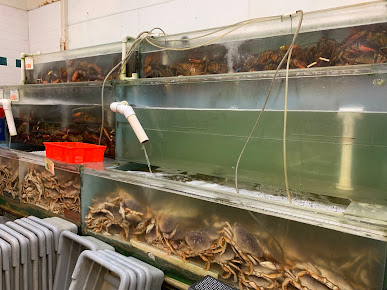 Photo Asian Live Seafood Market - 12