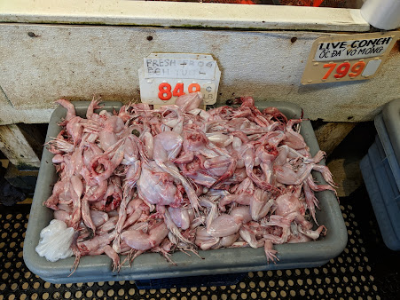 Photo Asian Live Seafood Market - 19