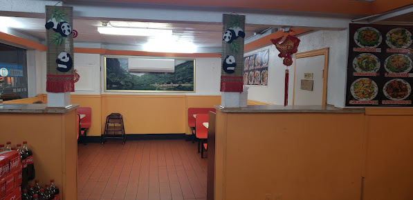 Photo Aulis Panda - 6