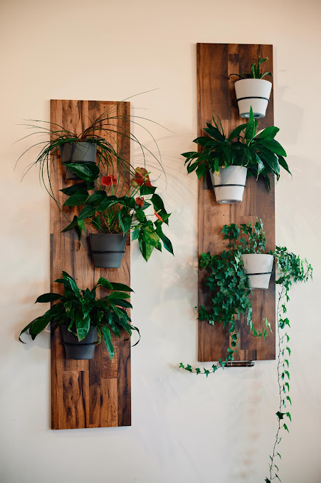 Photo Basu Coffee Bar & Vietnamese Eatery - 29