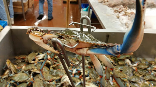 Photo Baybrooks Fresh Seafood - 3