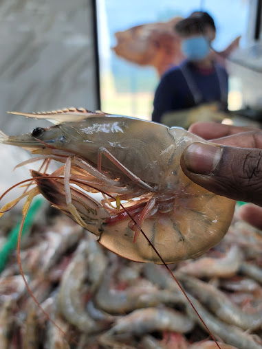 Photo Baybrooks Fresh Seafood - 9