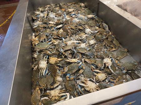Photo Baybrooks Fresh Seafood - 12