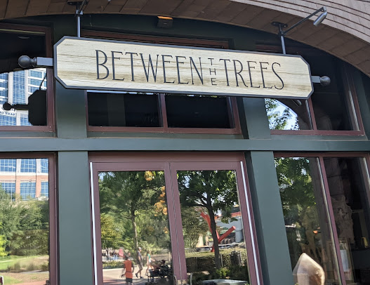 Photo Between The Trees - 10