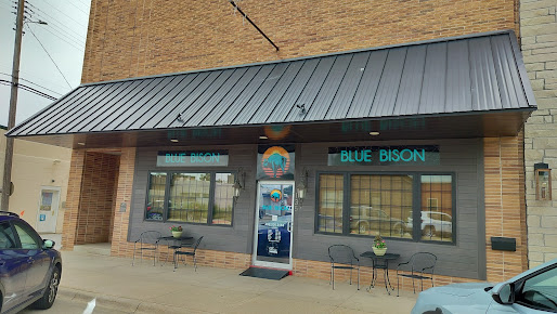 Photo Blue Bison - 15