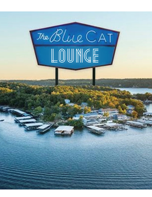 Photo Blue Cat Lounge At Alhonna Resort - 14