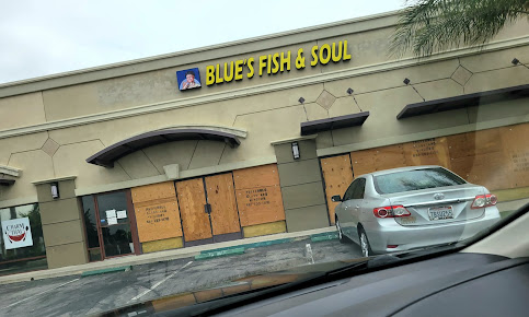 Photo Blues Fish Soul - 11