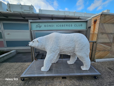Photo Bondi Icebergs Swimming Club - 8