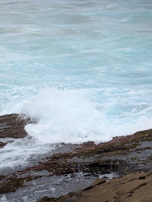 Photo Bondi Icebergs Swimming Club - 17
