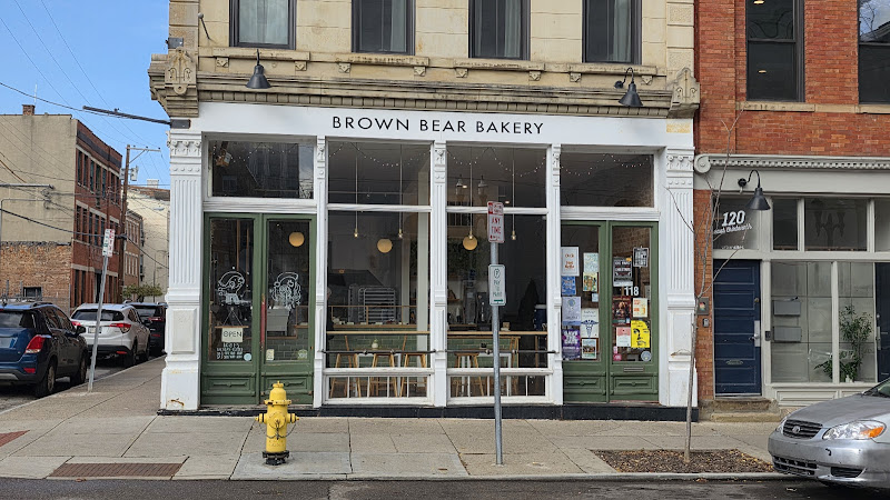 Brown Bear