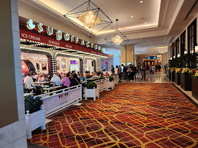 Photo Cipresso In Seminole Hard Rock Tampa - 17