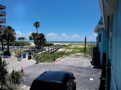 Photo Crabby Bills In St Pete Beach - 13