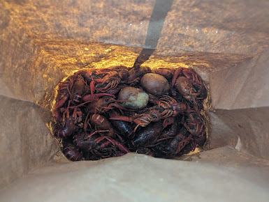 Photo Crawfish Time On Moss - 1