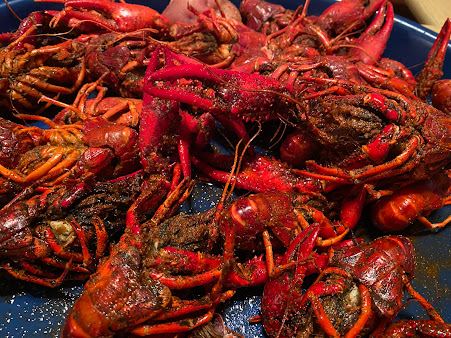 Photo Crawfish Time On Moss - 6