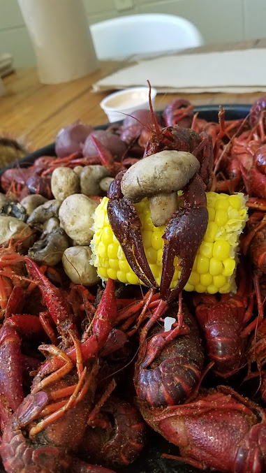 Photo Crawfish Time On Moss - 9