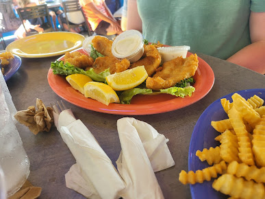 Photo Dolphin Tiki Bar Grill - 12