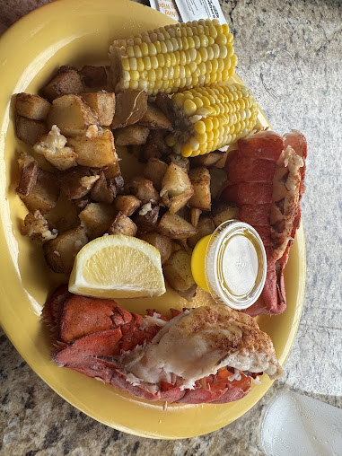 Photo Dolphin Tiki Bar Grill - 14