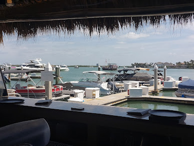 Photo Dolphin Tiki Bar Grill - 24