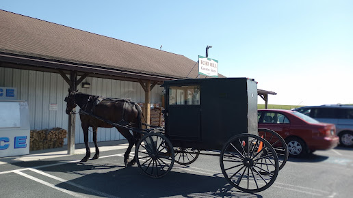 Photo Echo Hill Country Store - 2