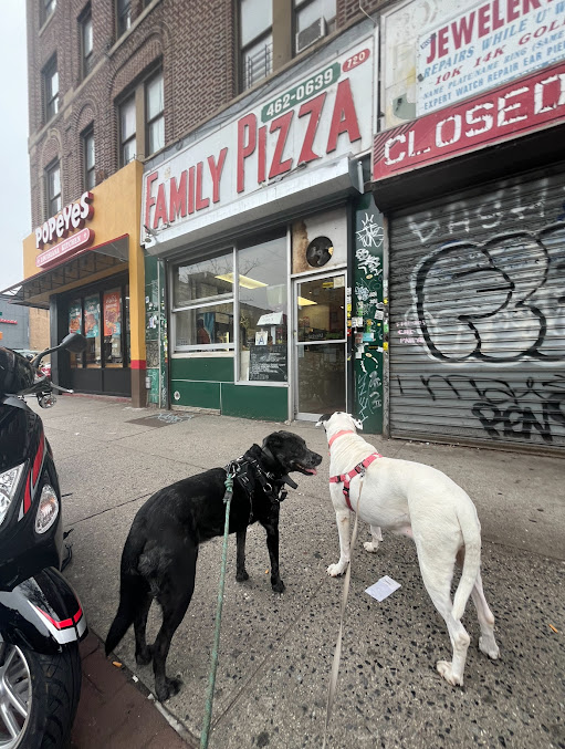 Photo Family Pizza - 3