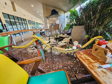 Photo Jbyrds Muddy Waters Restaurant Raw Bar - 27