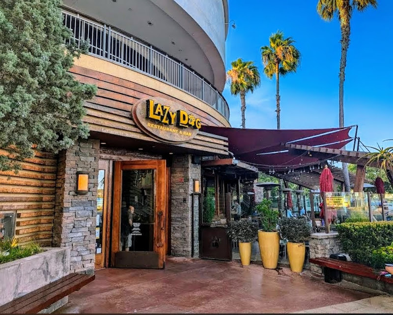 Lazy Dog Restaurant Bar Torrance