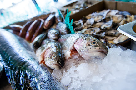 Photo Manly Fish Market - 15