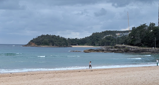 Photo Manly Fish Market - 16