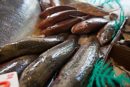 Photo Manly Fish Market - 18