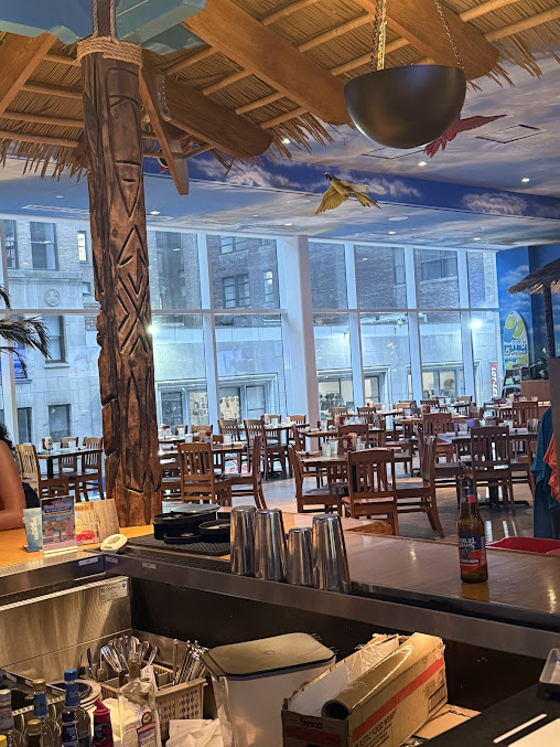 Photo Margaritaville - Times Square - 15