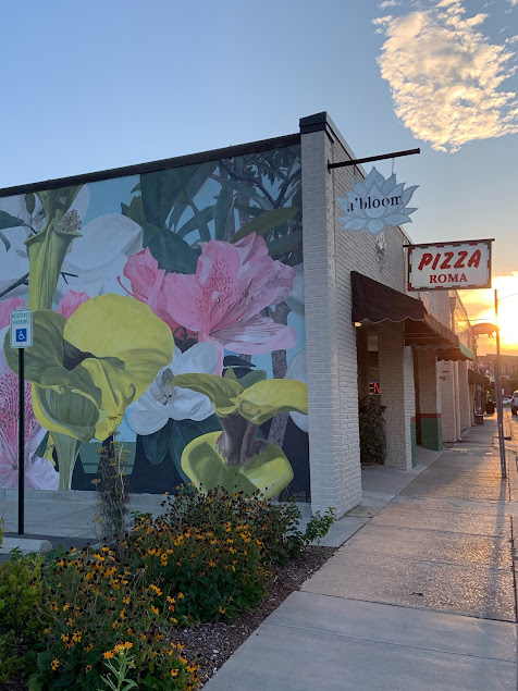 Photo Pizza Roma Lake City - 9