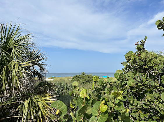 Photo Shark Tooth Beach Concessions Nokomis Beach - 14