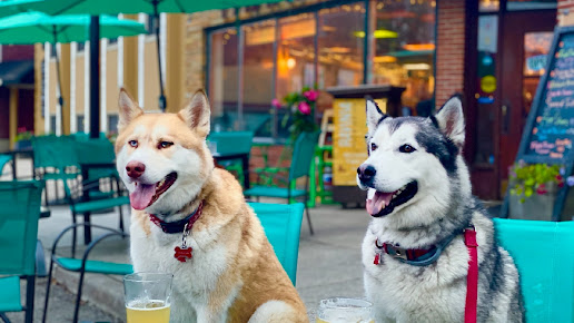 Photo Steep Ravine Brewing Company - 10