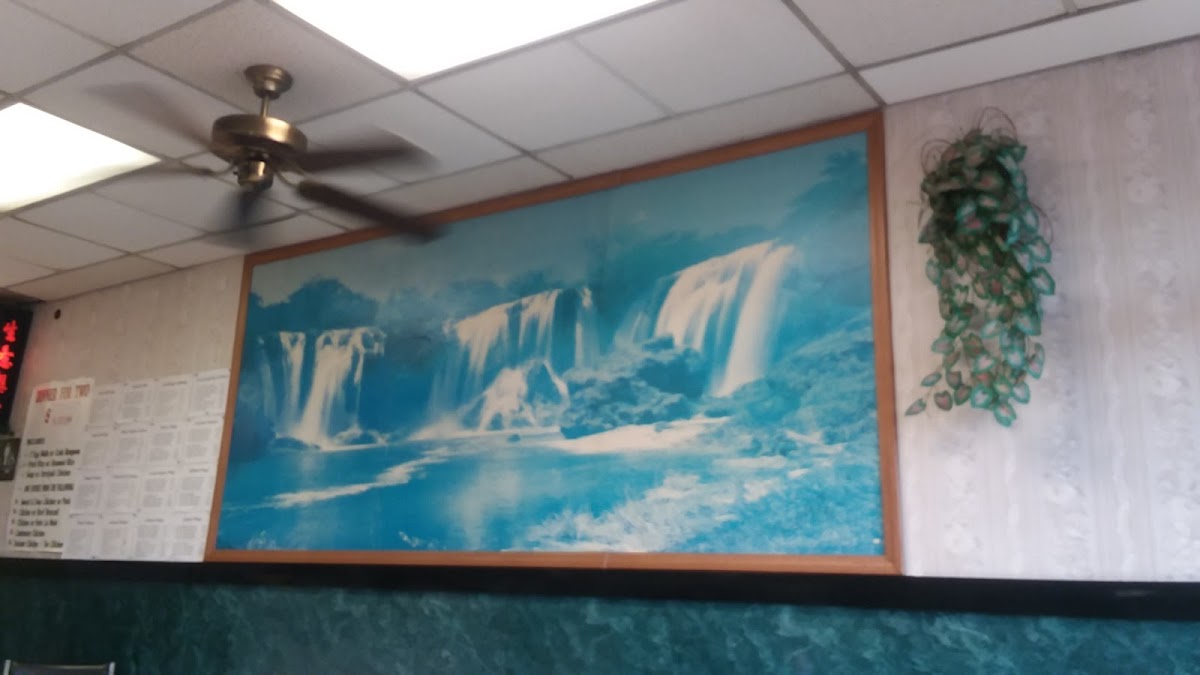 Taste Of China Restaurant Wilson