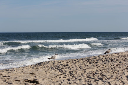 Photo The Beach House Restaurant Lbi - 24