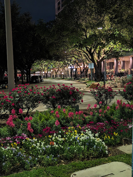 Photo The Grove - 17