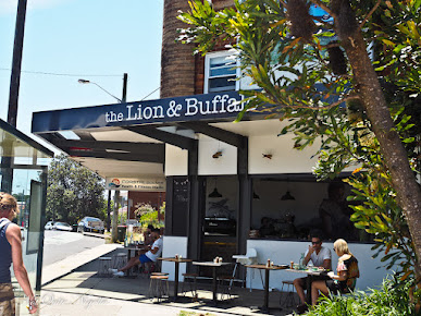 Photo The Lion And Buffalo - 26