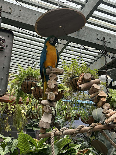 Photo The Potting Shed At The Grounds - 16