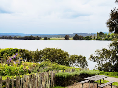 Photo The River Moruya - 24