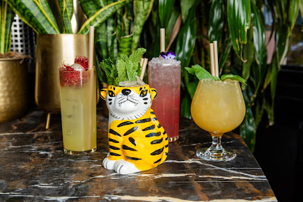 Photo The Tyger - 19