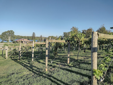 Photo The Vineyards At Pine Lake Tasting Room - 10