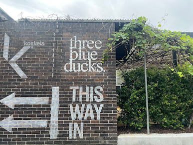 Photo Three Blue Ducks - 12